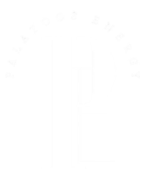 Palatoos Logo